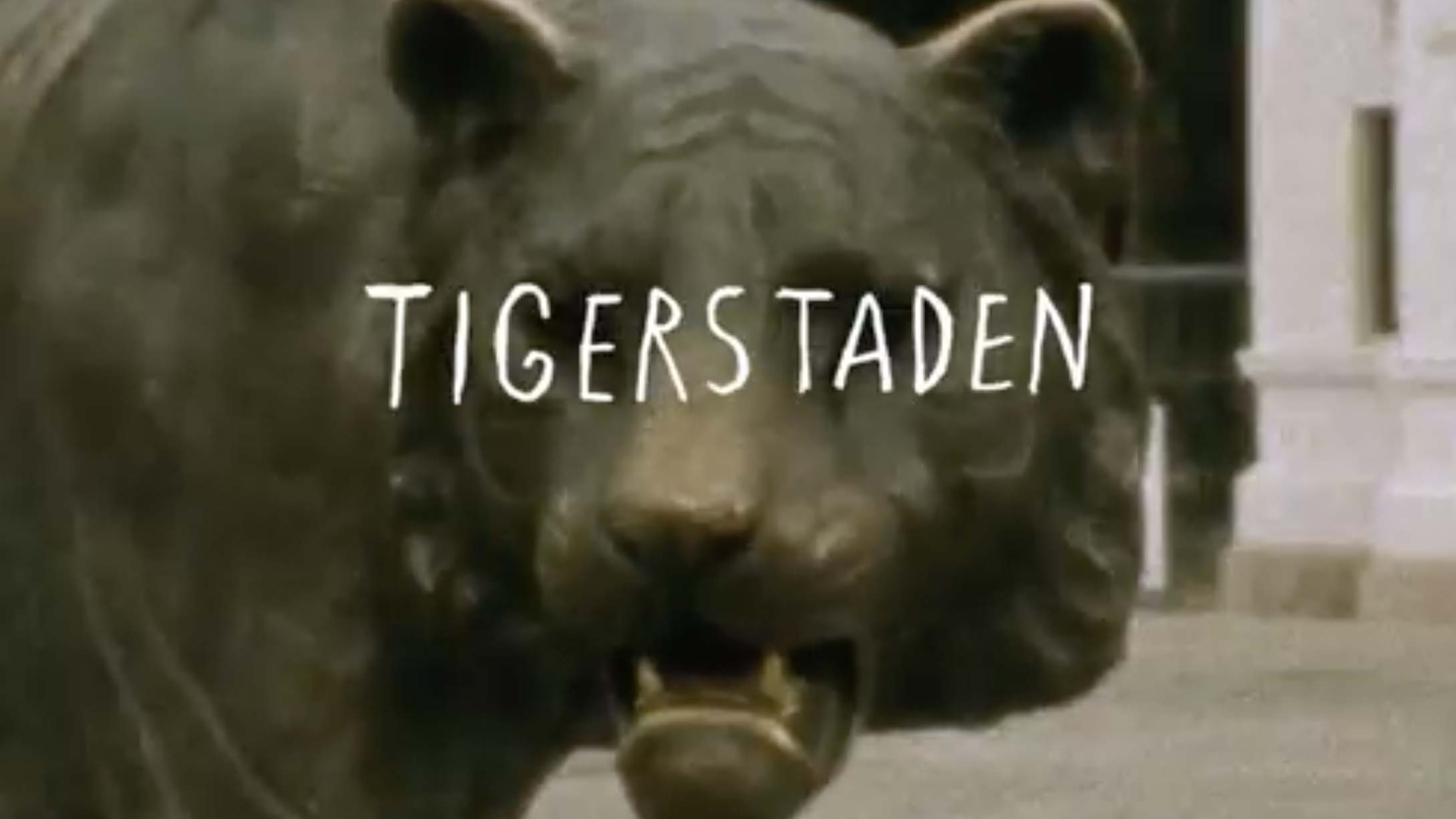 tiger-tiger